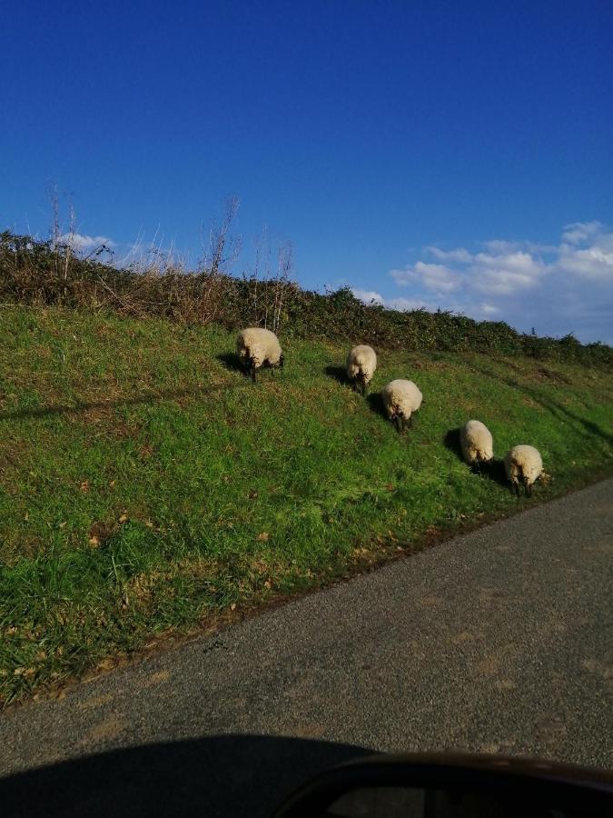 Au Repos Du Verger Couvrelles 外观 照片